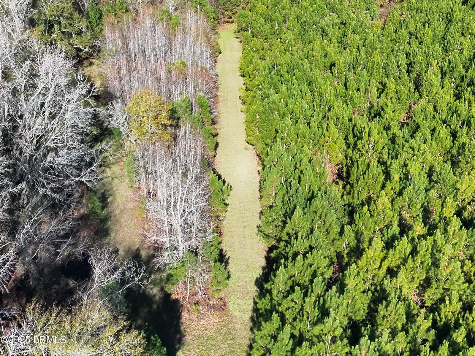 Tbd Orangeburg Road, Estill, SC 29939 — photo 31 of 31