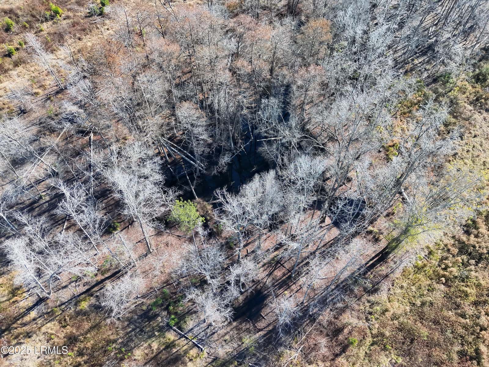Tbd Midway Street, Bamberg, SC 29003 — photo 5 of 12