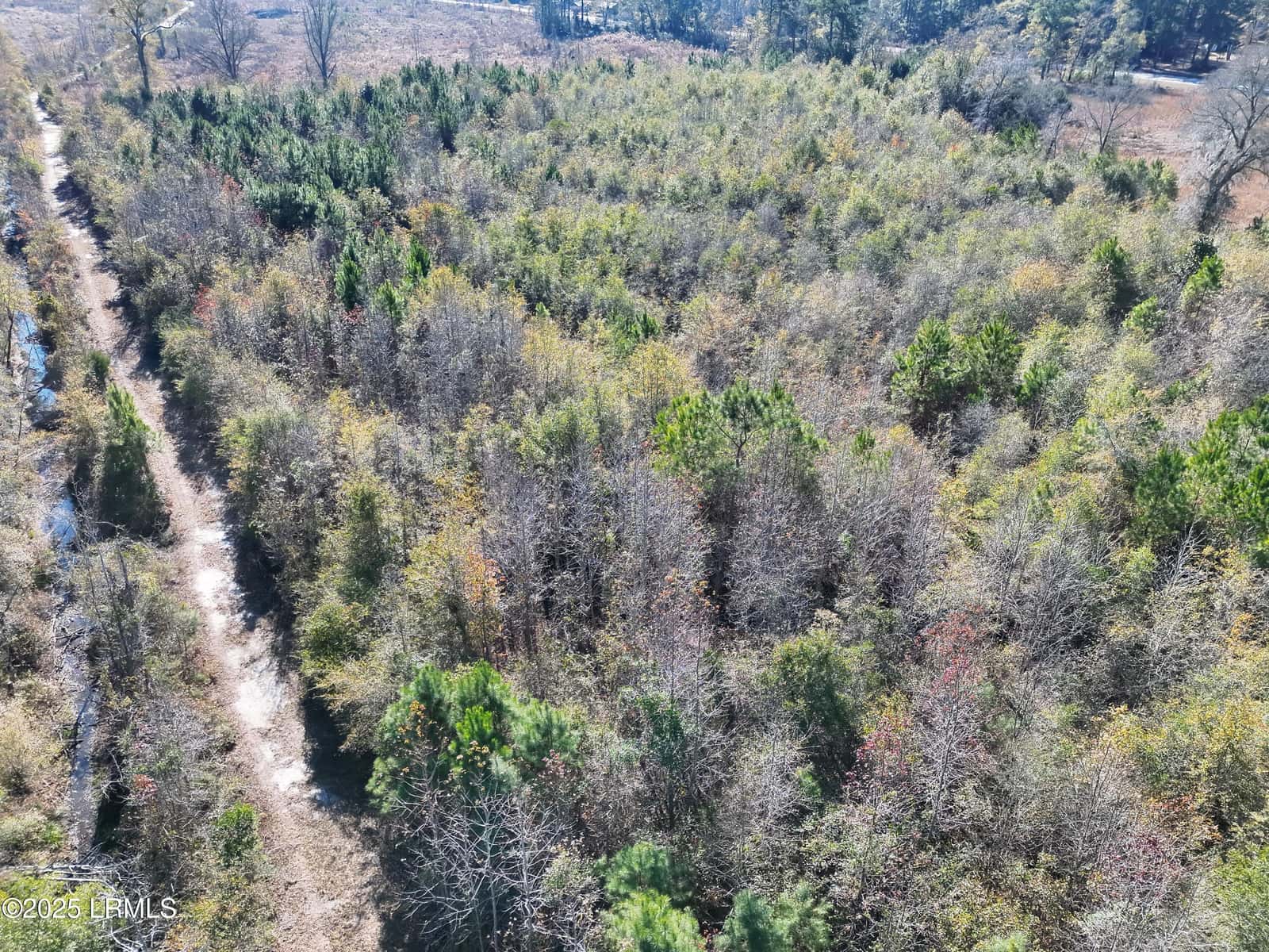 Tbd Midway Street, Bamberg, SC 29003 — photo 9 of 12