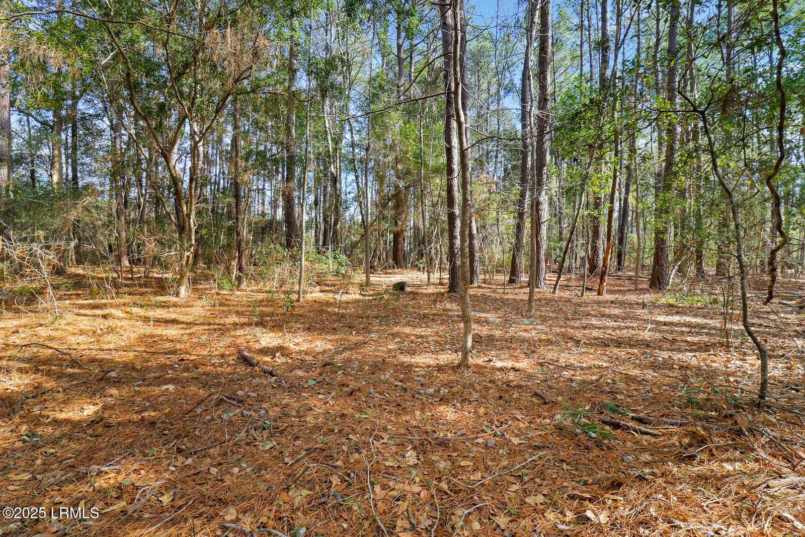 547 Broad River Boulevard, Port Royal, SC 29906 — photo 15 of 35