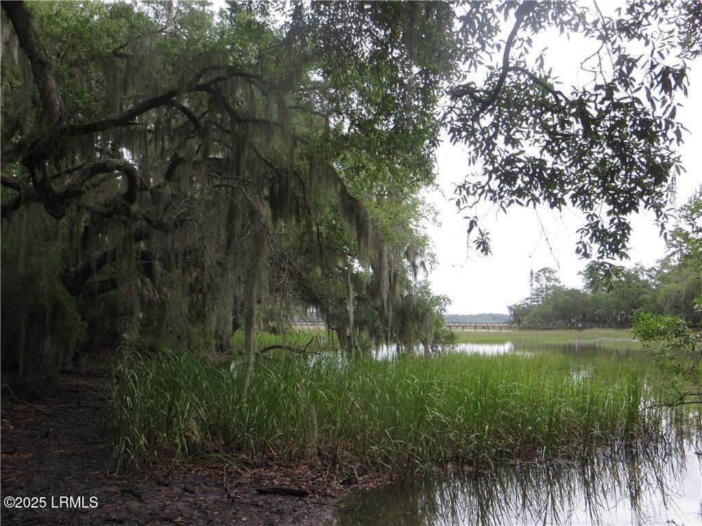 32 Winding Oak Drive, Okatie, SC 29909 — photo 10 of 27
