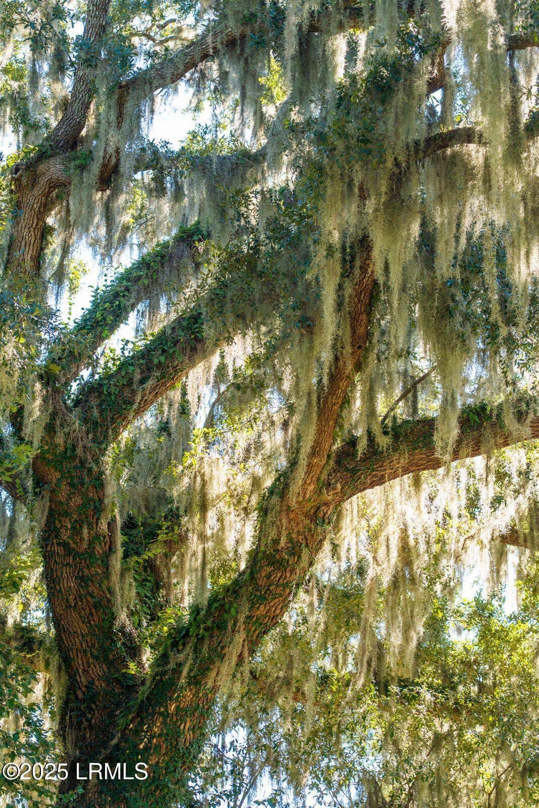 210 Old Plantation Drive W, Beaufort, SC 29907 — photo 66 of 80