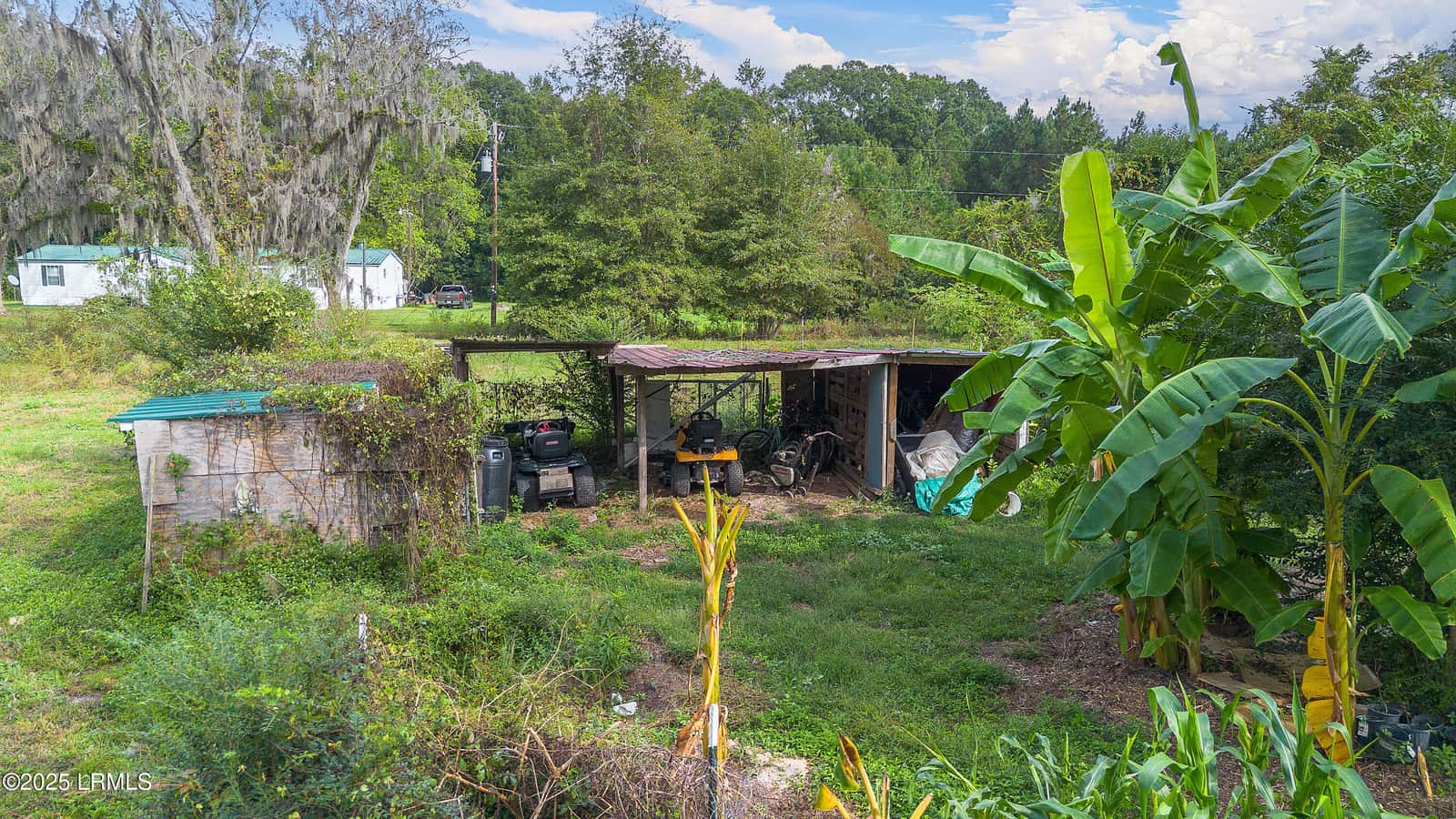 196 Country Craft Road, Estill, SC 29918 — photo 50 of 60