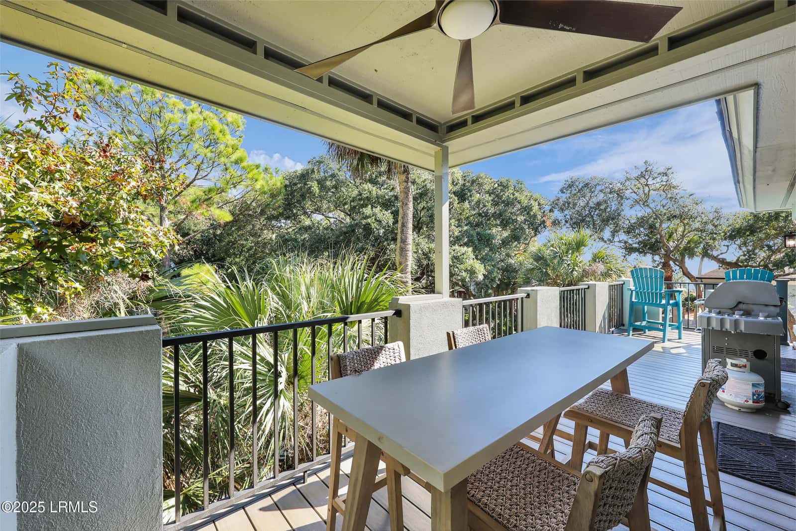 116 Dune Lane, Hilton Head Island, SC 29928 — photo 49 of 57