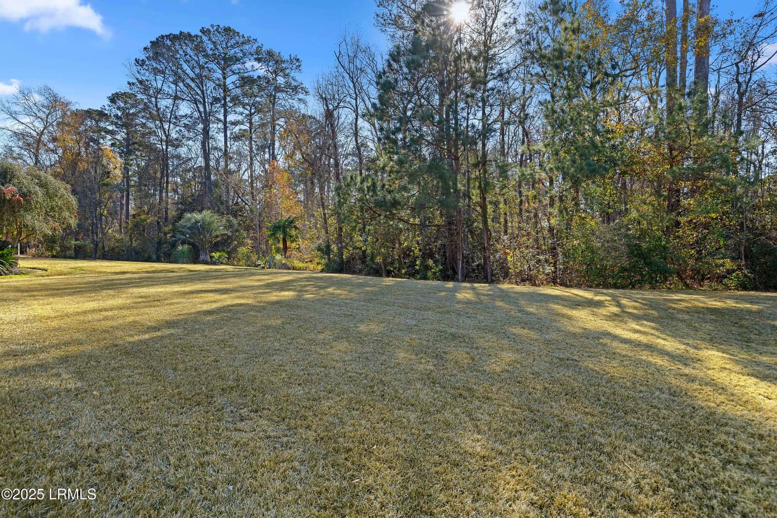 10 Camilla Pink Court, Bluffton, SC 29909 — photo 58 of 63