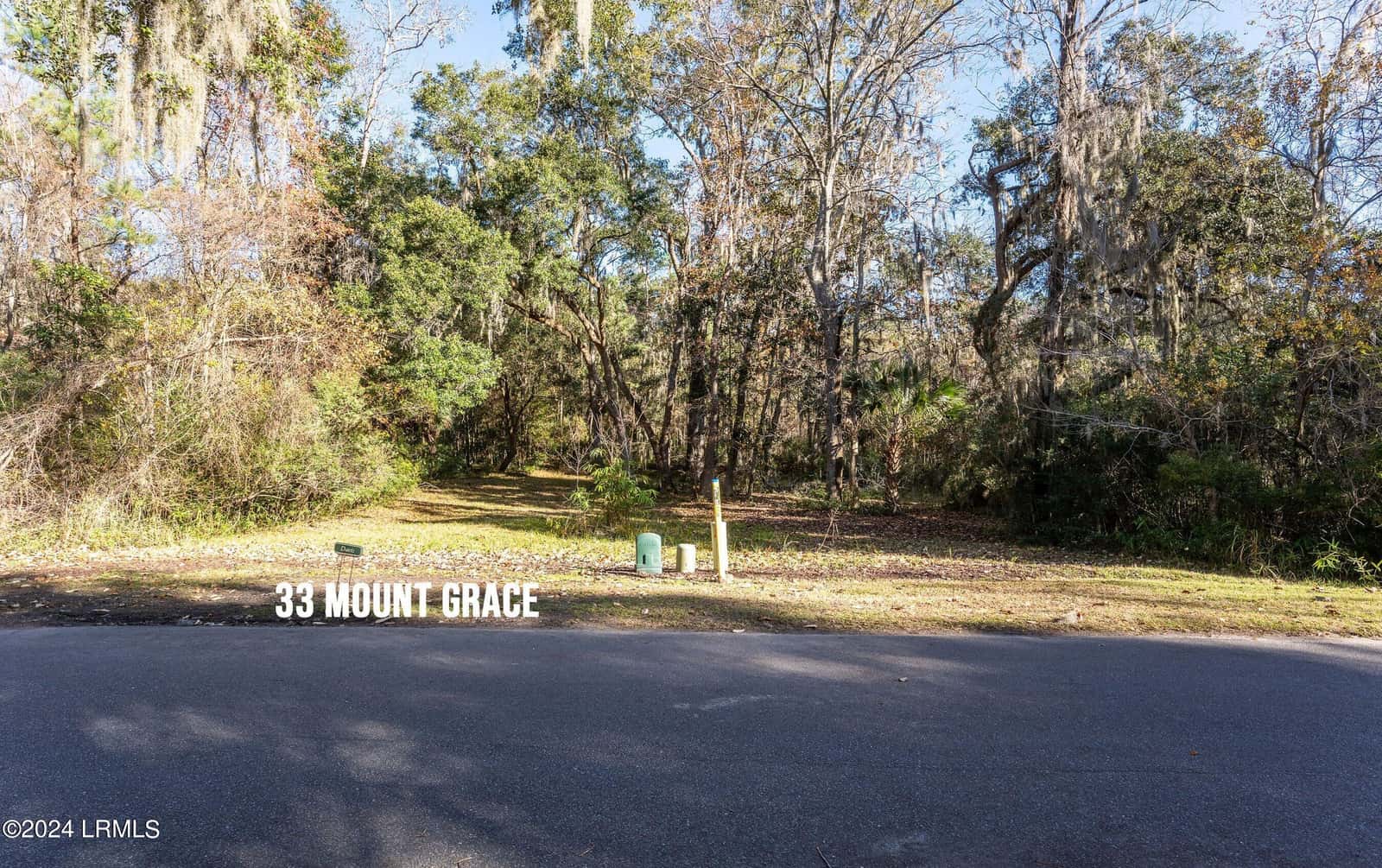 33 Mount Grace, Beaufort, SC 29906 — photo 19 of 29