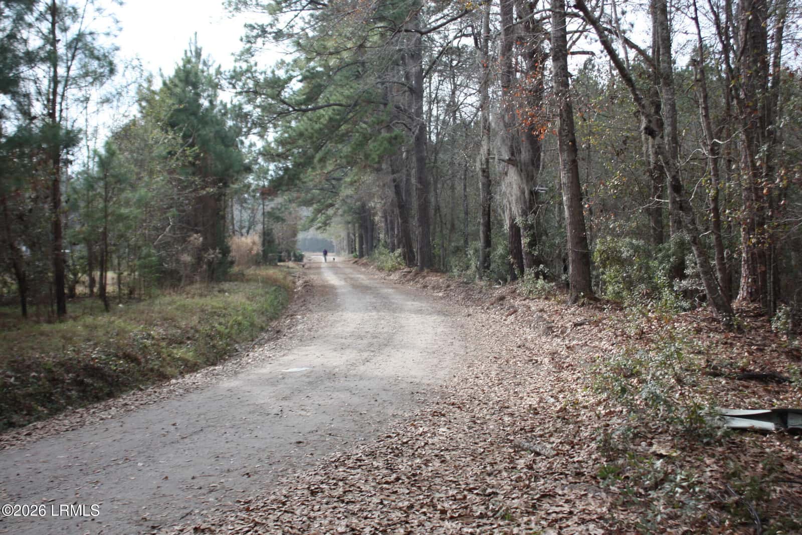209 Dowlingwood Drive, Ridgeland, SC 29936 — photo 5 of 9