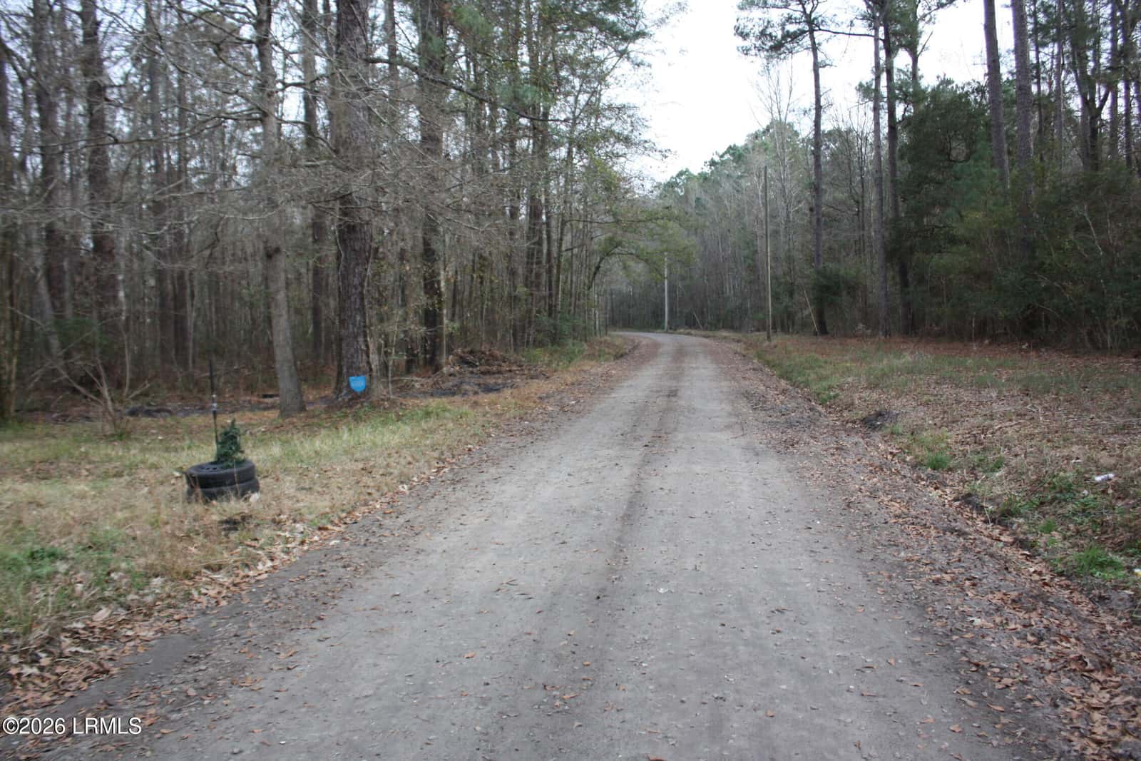 209 Dowlingwood Drive, Ridgeland, SC 29936 — photo 8 of 9