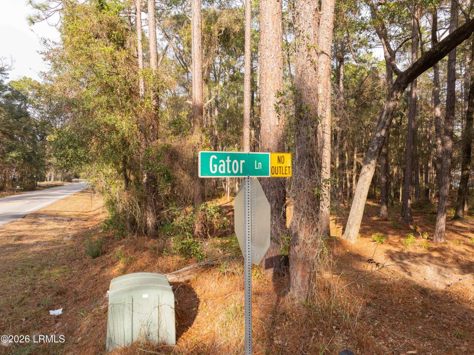 106 Gator Lane, Lady's Island, SC 29907 — photo 8 of 20