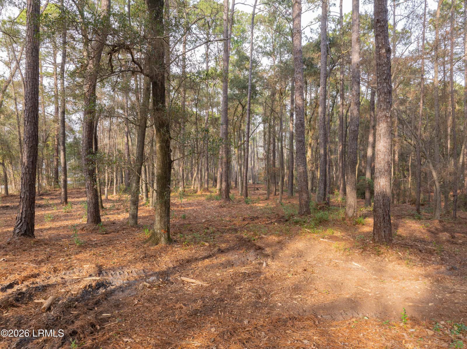 106 Gator Lane, Lady's Island, SC 29907 — photo 11 of 20