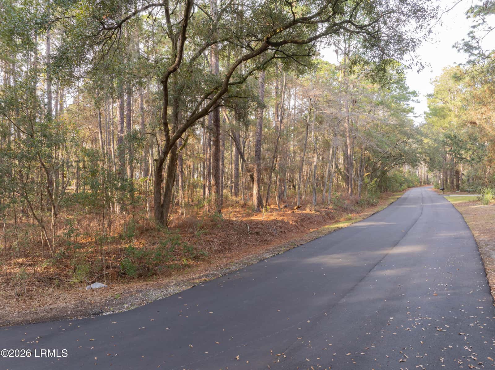 106 Gator Lane, Lady's Island, SC 29907 — photo 10 of 20