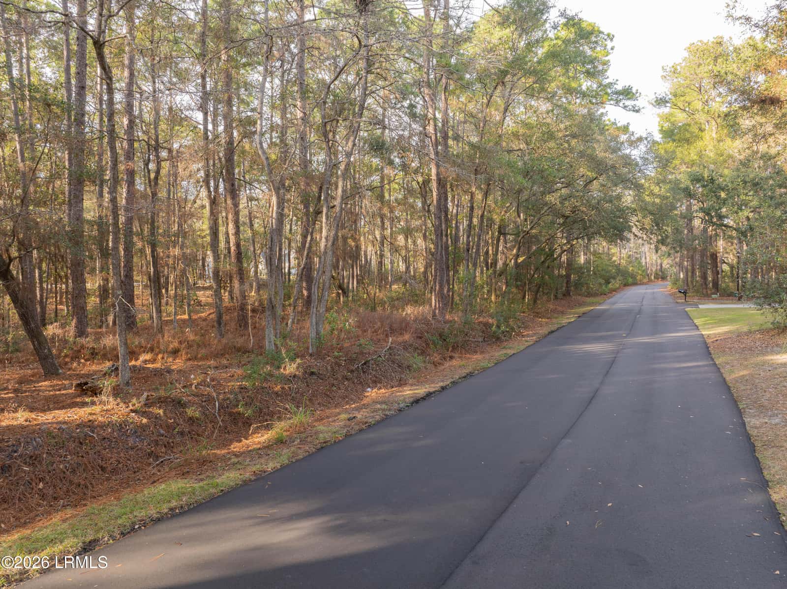 106 Gator Lane, Lady's Island, SC 29907 — photo 9 of 20