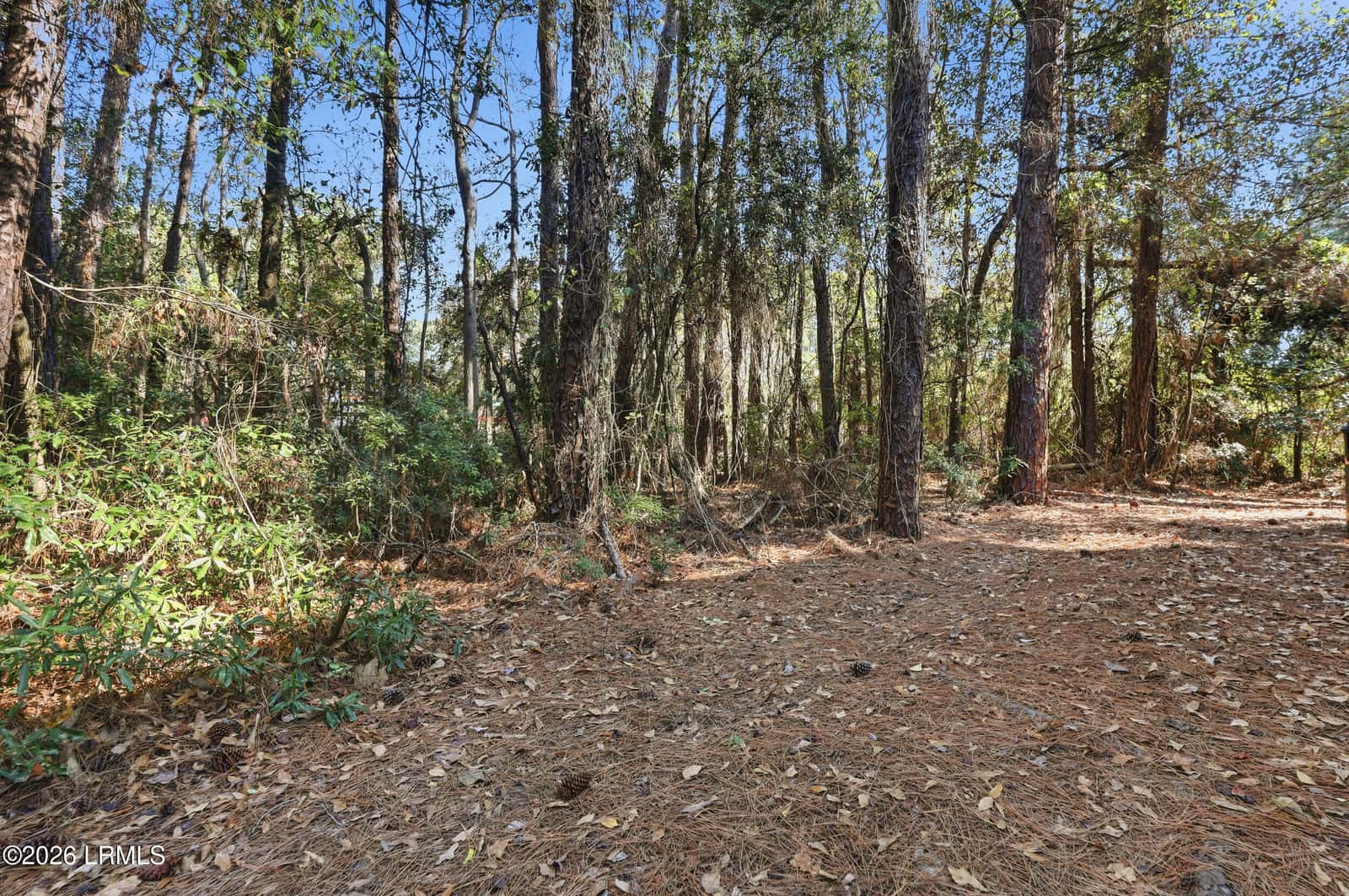 6 Point Comfort Road 5a, Hilton Head Island, SC 29928 — photo 20 of 25