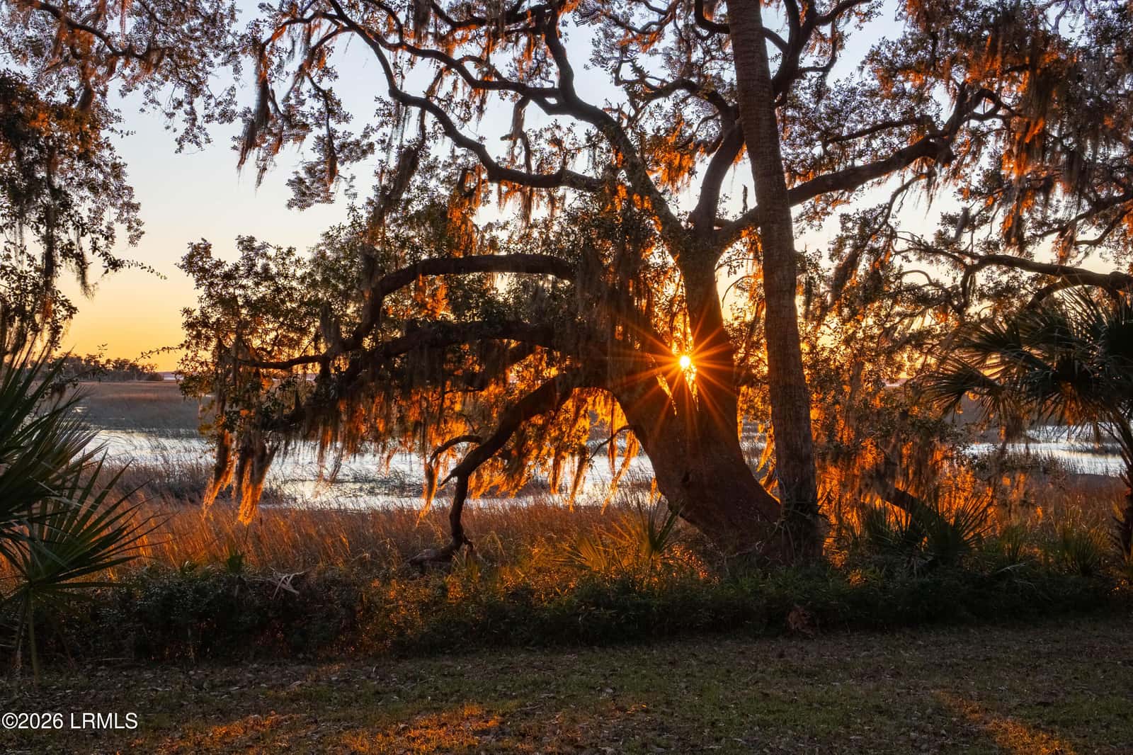 51 River Place, Beaufort, SC 29906 — photo 3 of 21