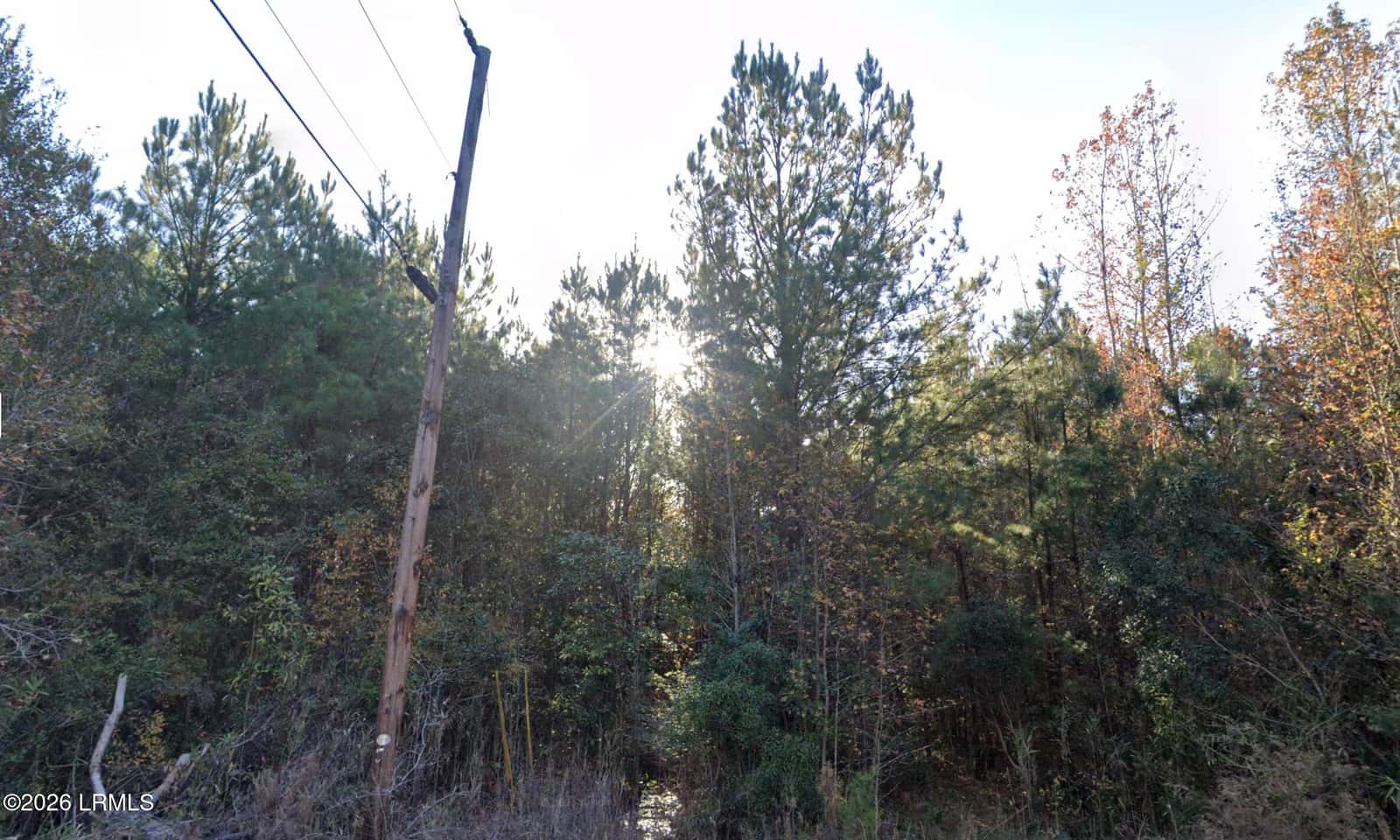 00 Oliver Street, Hampton, SC 29924 — photo 1 of 9