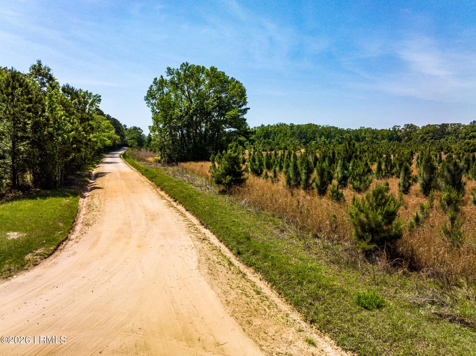 164 Paige Point Bluff, Seabrook, SC 29940 — photo 56 of 70