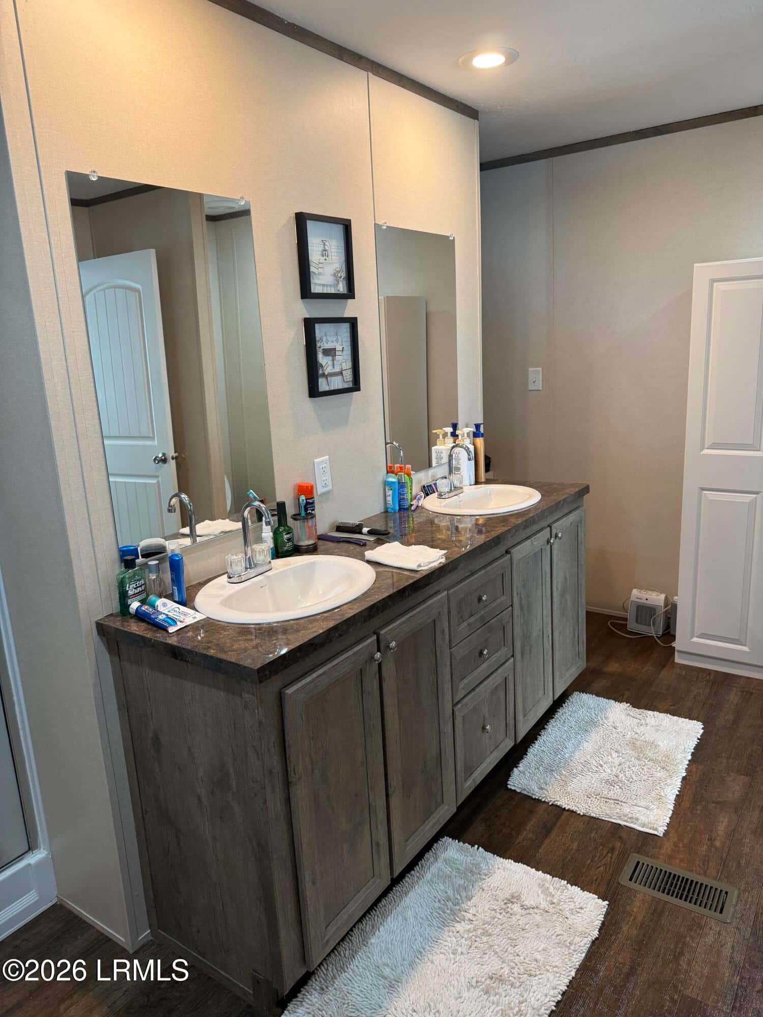 6204 Badham Drive, Reevesville, SC 29471 — photo 17 of 32