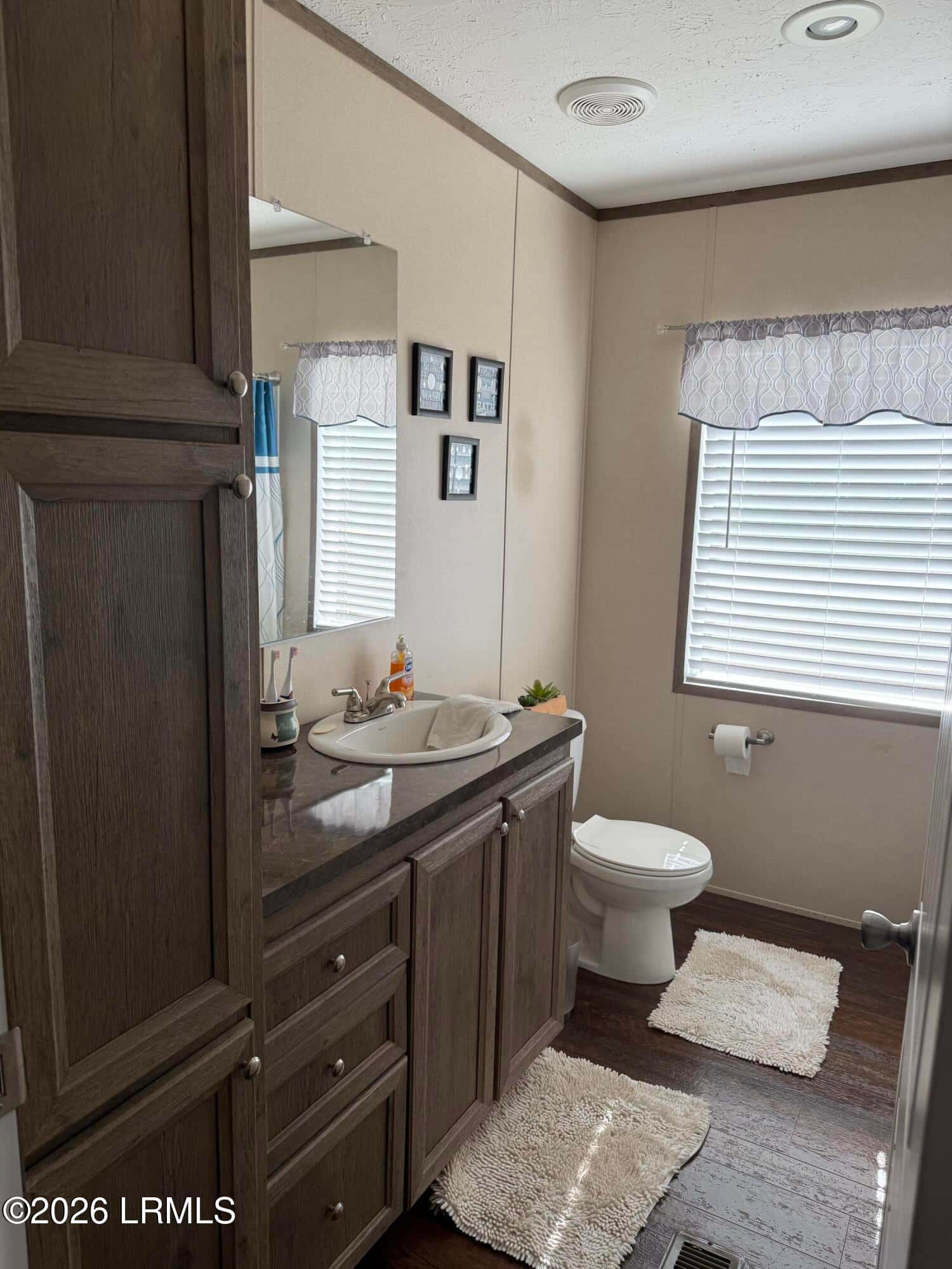 6204 Badham Drive, Reevesville, SC 29471 — photo 24 of 32