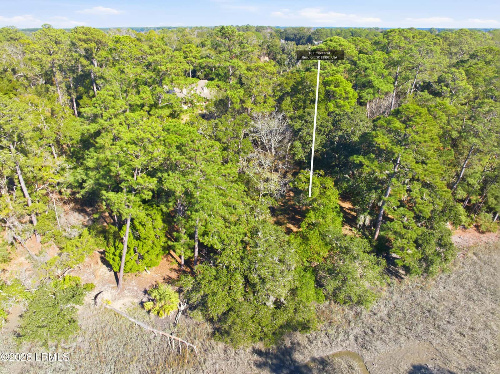 16 Timber Trail, Beaufort, SC 29907 — photo 6 of 16