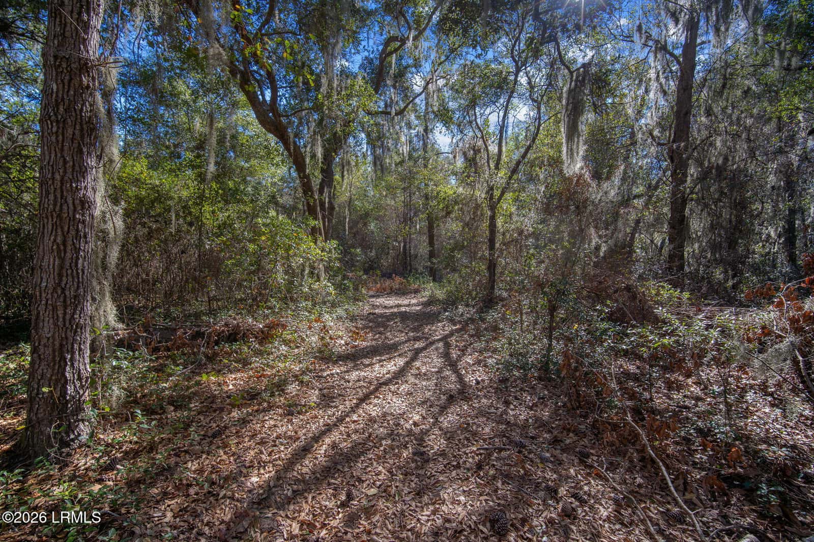 51 Bermuda Inlet Drive, St. Helena Island, SC 29920 — photo 3 of 23