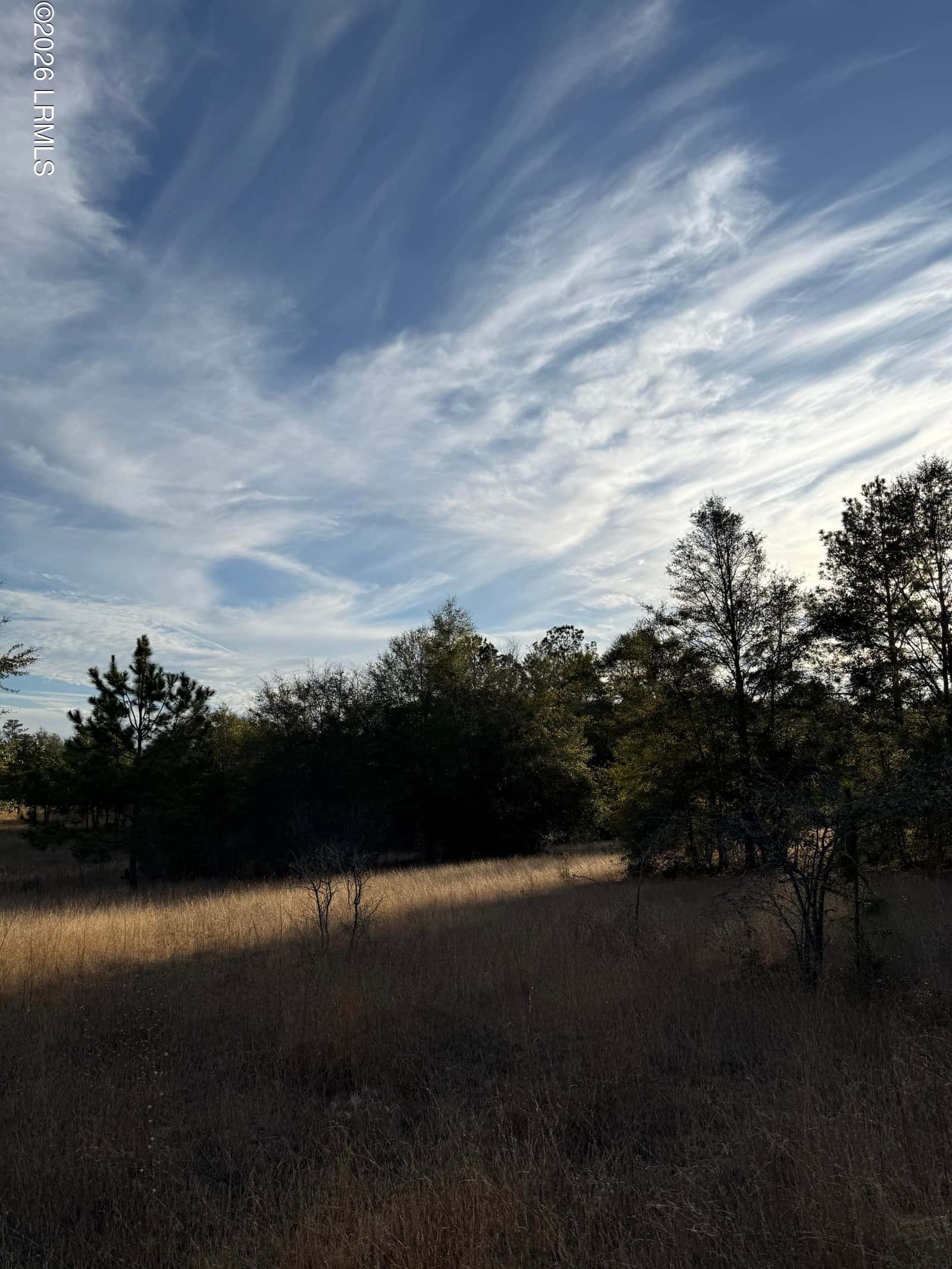 Tbd Stokes Bluff Road, Garnett, SC 29922 — photo 2 of 12