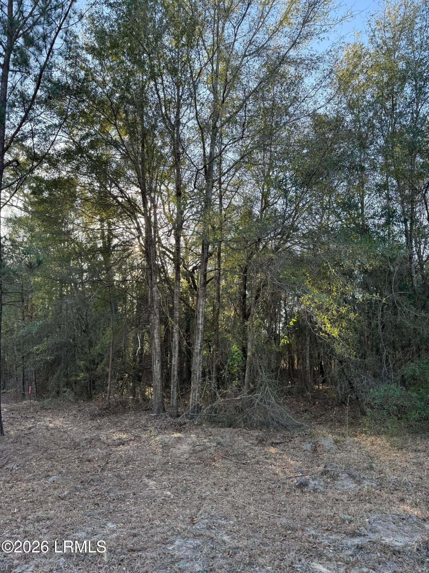 Tbd Stokes Bluff Road, Garnett, SC 29922 — photo 3 of 12