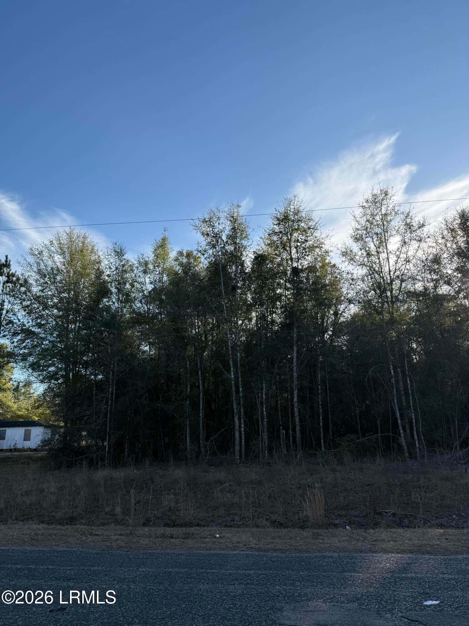 Tbd Stokes Bluff Road, Garnett, SC 29922 — photo 4 of 12