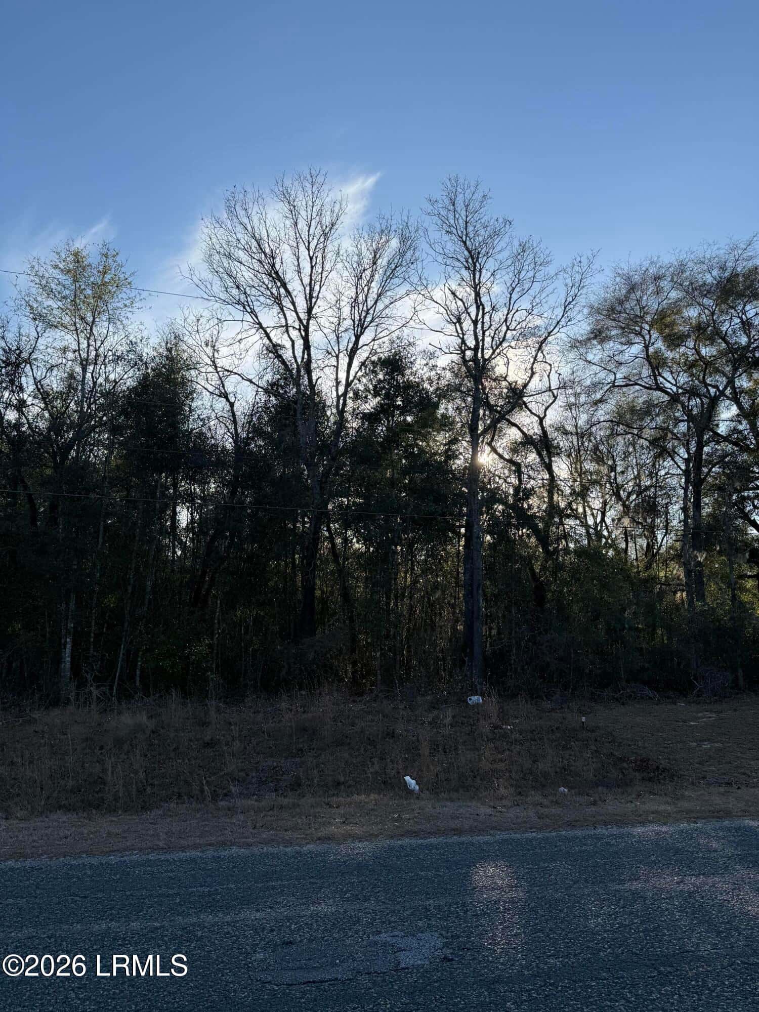 Tbd Stokes Bluff Road, Garnett, SC 29922 — photo 5 of 12
