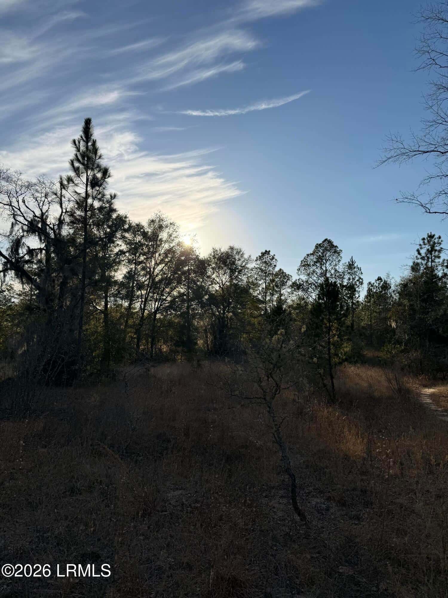 Tbd Stokes Bluff Road, Garnett, SC 29922 — photo 6 of 12