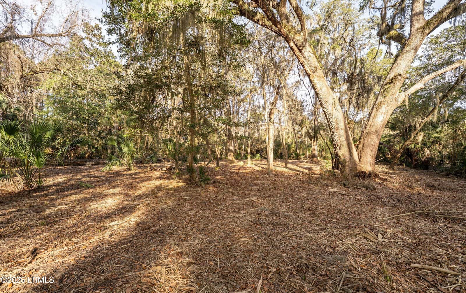 32 Winding Oak Drive, Okatie, SC 29909 — photo 6 of 27
