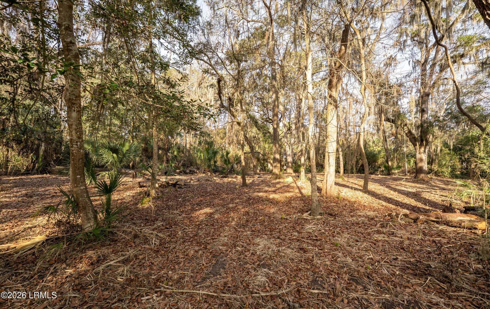 32 Winding Oak Drive, Okatie, SC 29909 — photo 7 of 27