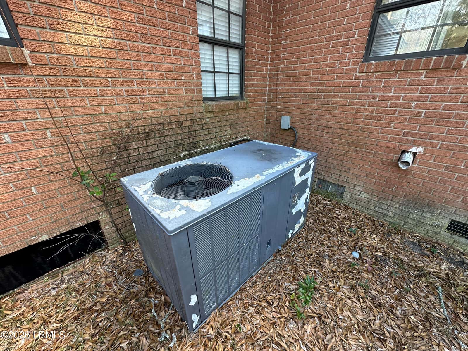 299 Warren Street, Allendale, SC 29810 — photo 15 of 29