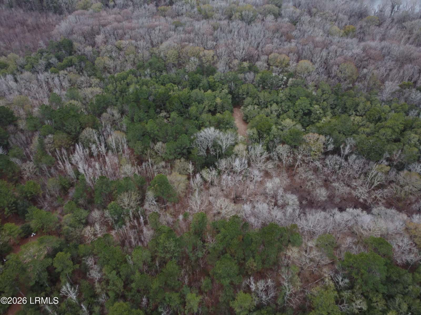 Tbd Stokes Bluff Road, Garnett, SC 29922 — photo 7 of 12