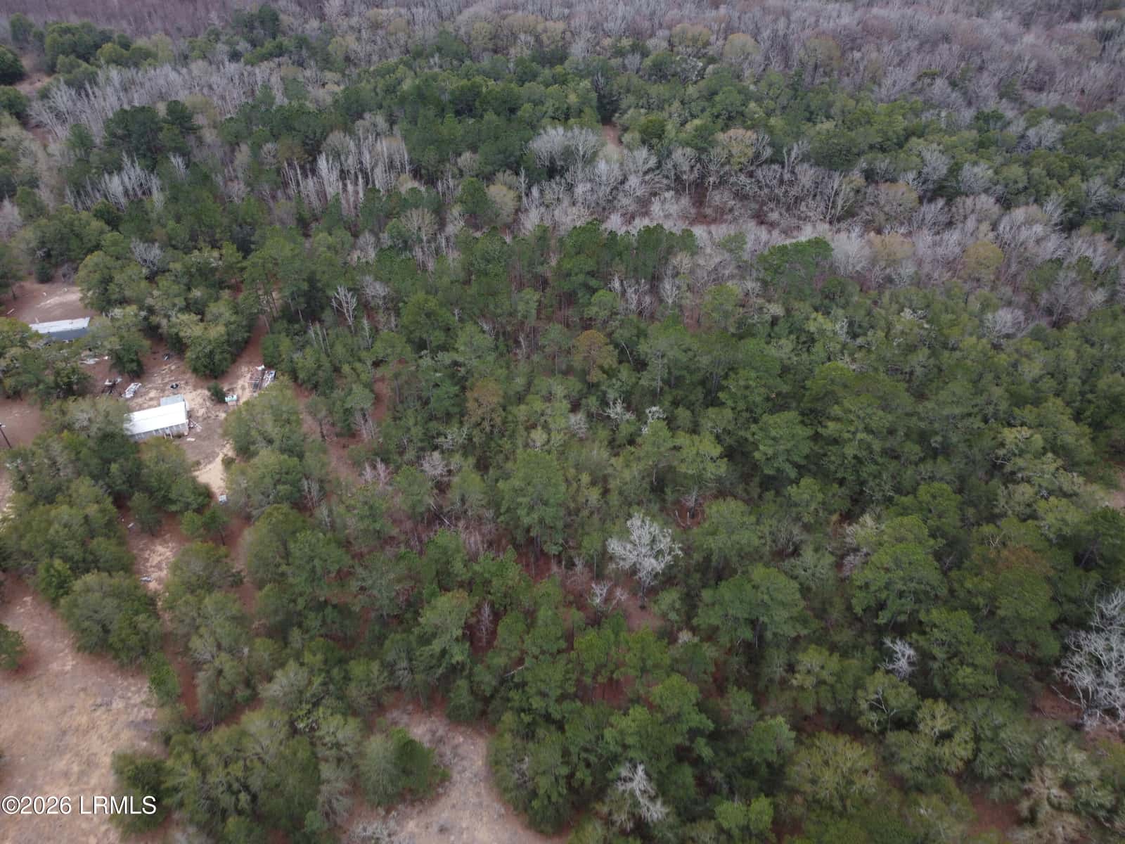 Tbd Stokes Bluff Road, Garnett, SC 29922 — photo 8 of 12