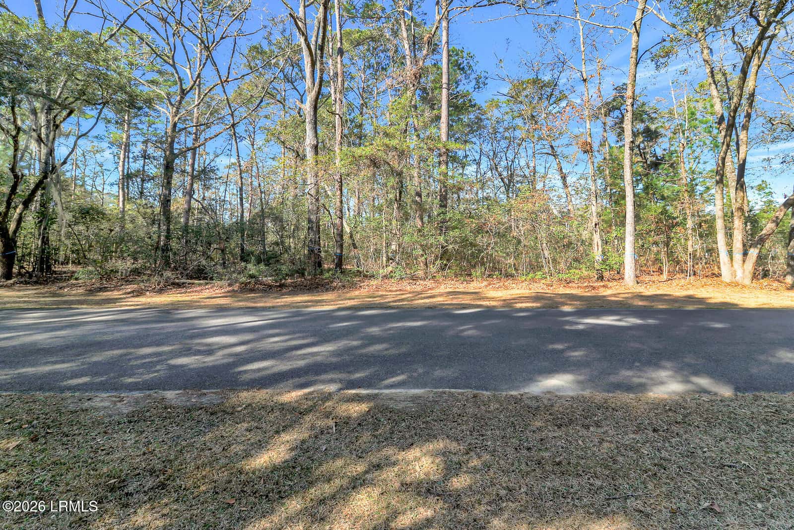 86 Tomotley Barony Drive, Seabrook, SC 29940 — photo 40 of 62