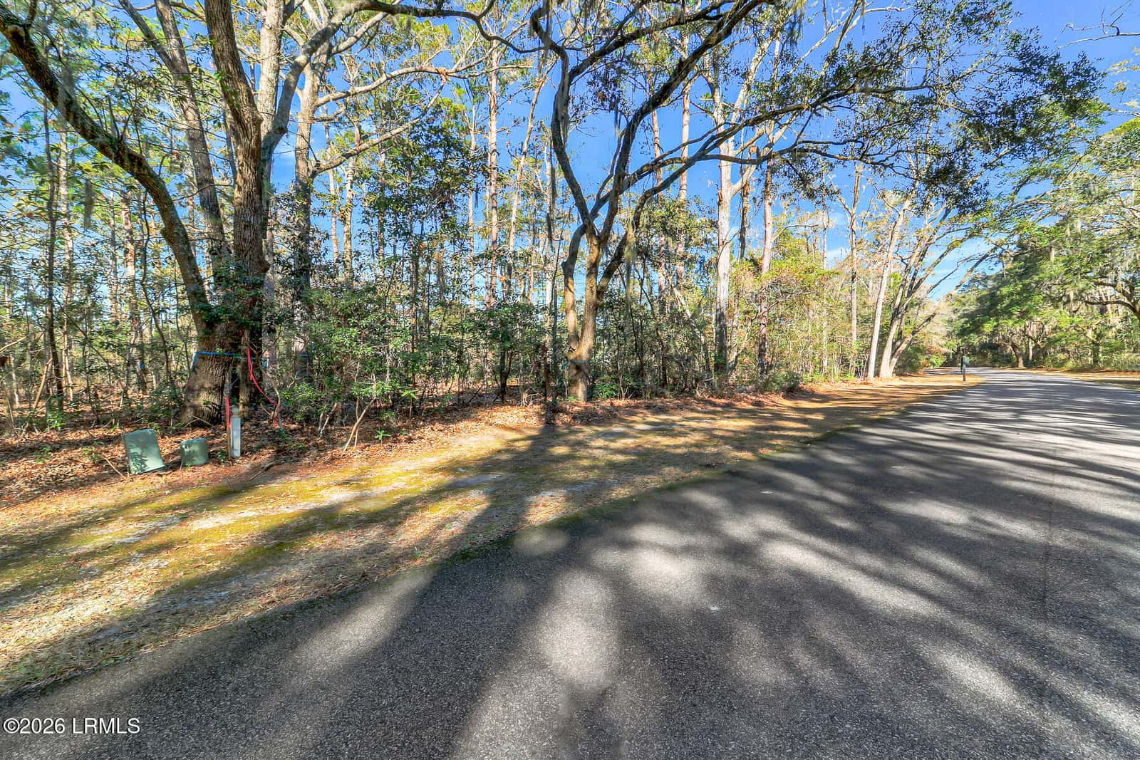 86 Tomotley Barony Drive, Seabrook, SC 29940 — photo 41 of 62