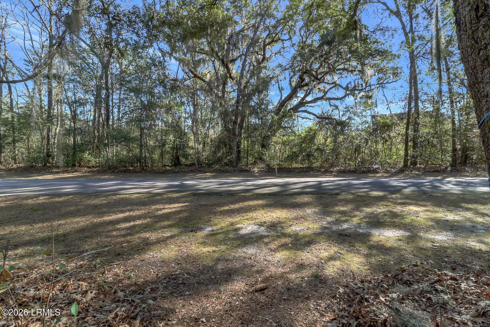 86 Tomotley Barony Drive, Seabrook, SC 29940 — photo 42 of 62