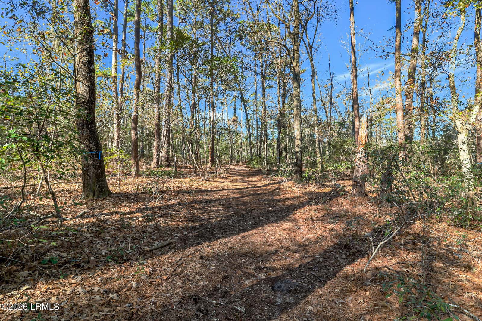 86 Tomotley Barony Drive, Seabrook, SC 29940 — photo 38 of 62