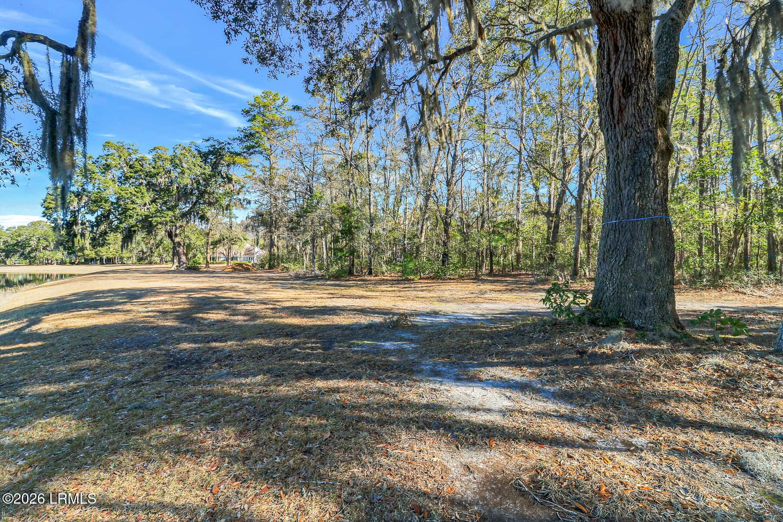 86 Tomotley Barony Drive, Seabrook, SC 29940 — photo 37 of 62