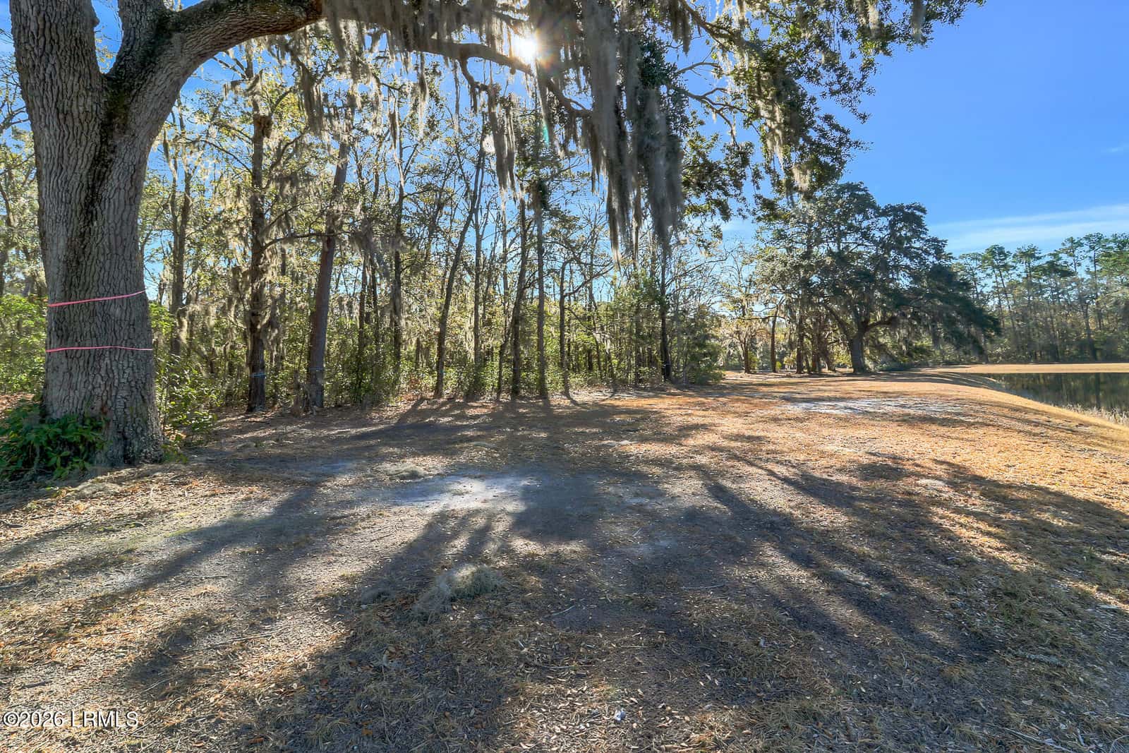 86 Tomotley Barony Drive, Seabrook, SC 29940 — photo 36 of 62