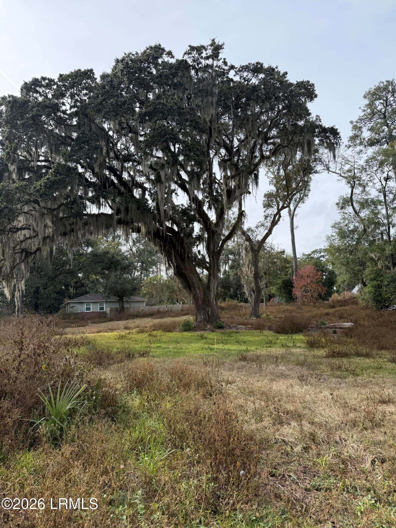 103 Whitfield Street, Beaufort, SC 29902 — photo 20 of 43