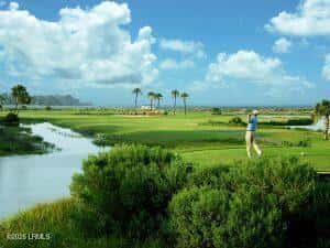 848 Marsh Dunes Road, Fripp Island, SC 29920 — photo 38 of 54