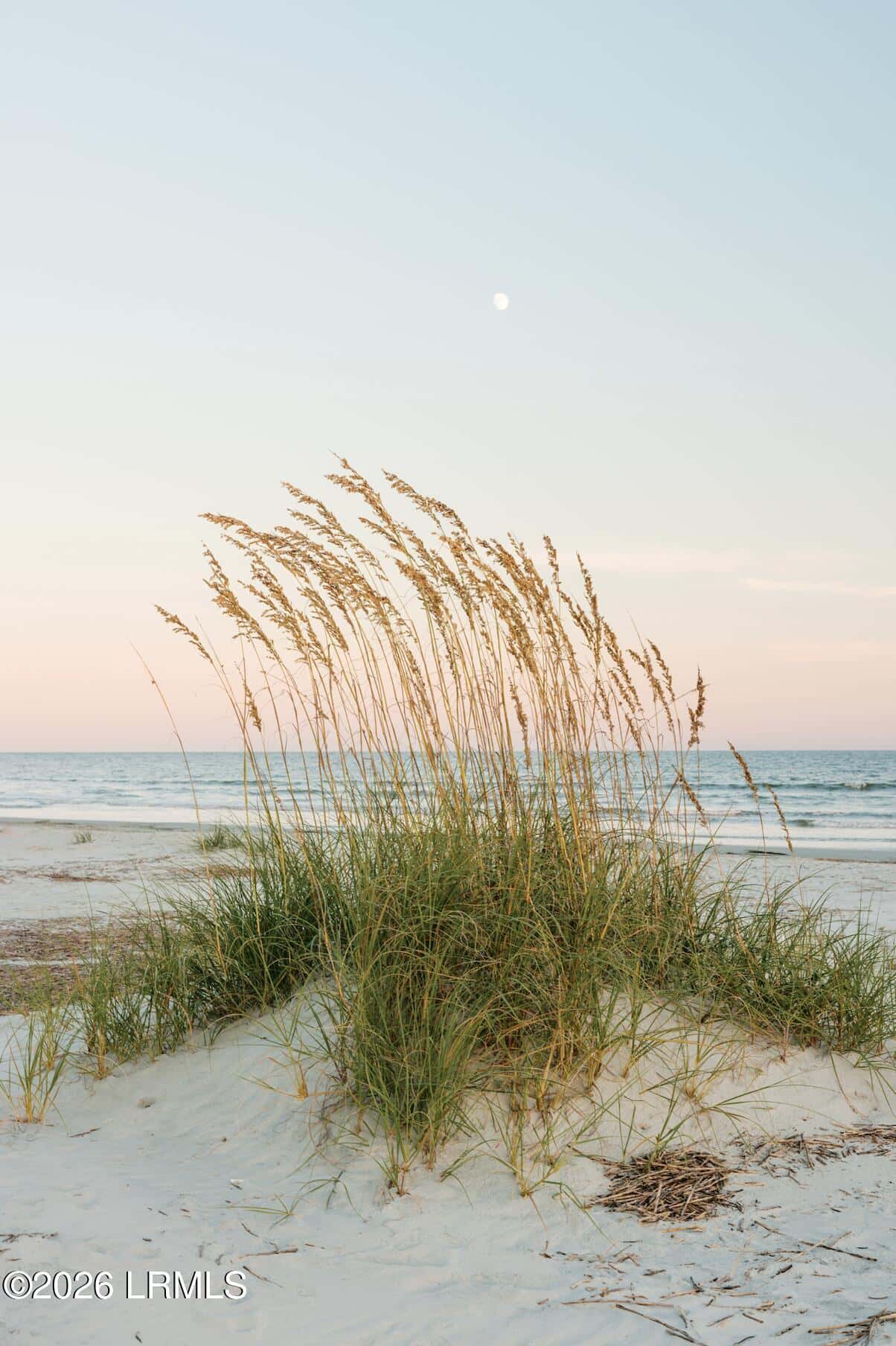 848 Marsh Dunes Road, Fripp Island, SC 29920 — photo 26 of 54