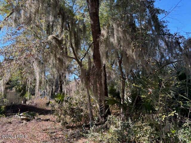 318 Westbrook Road, St. Helena Island, SC 29920 — photo 2 of 14