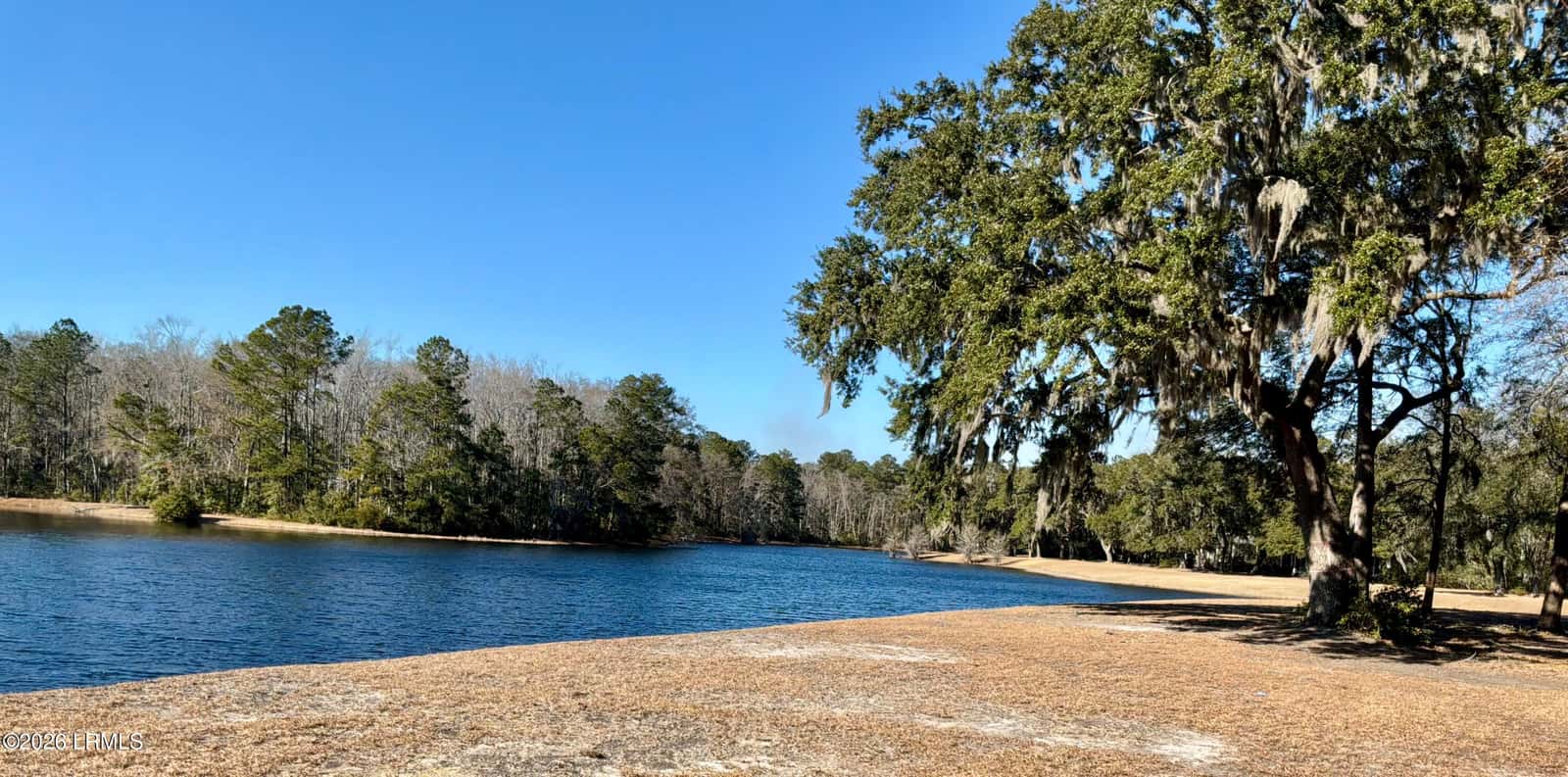 86 Tomotley Barony Drive, Seabrook, SC 29940 — photo 11 of 62