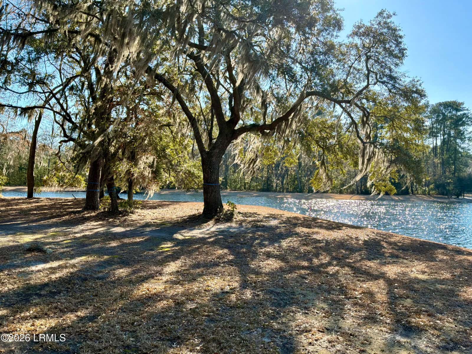 86 Tomotley Barony Drive, Seabrook, SC 29940 — photo 12 of 62