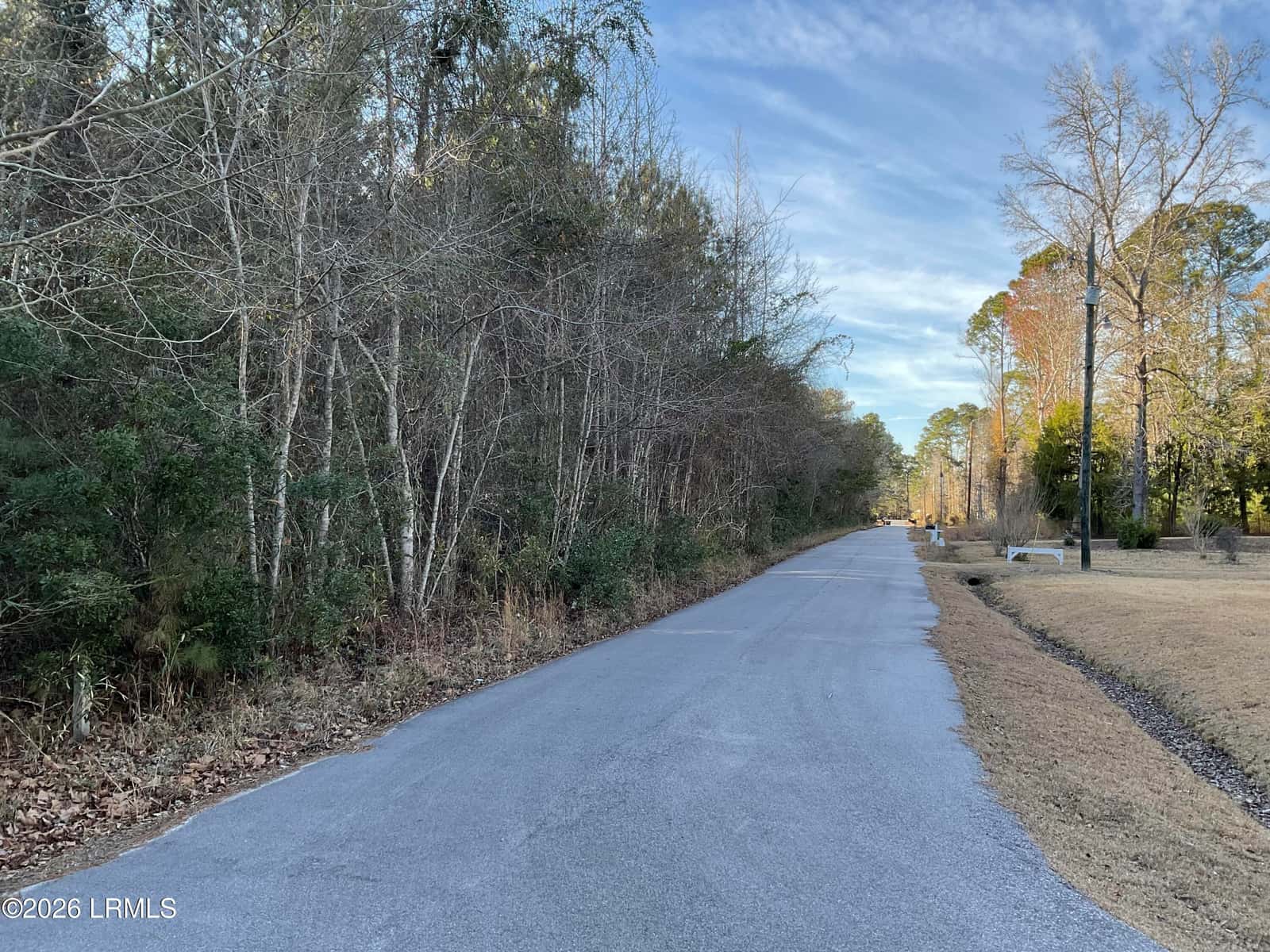 00 Oliver Street, Hampton, SC 29924 — photo 3 of 9