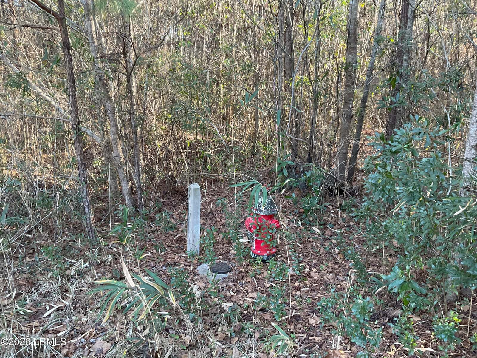 00 Oliver Street, Hampton, SC 29924 — photo 7 of 9