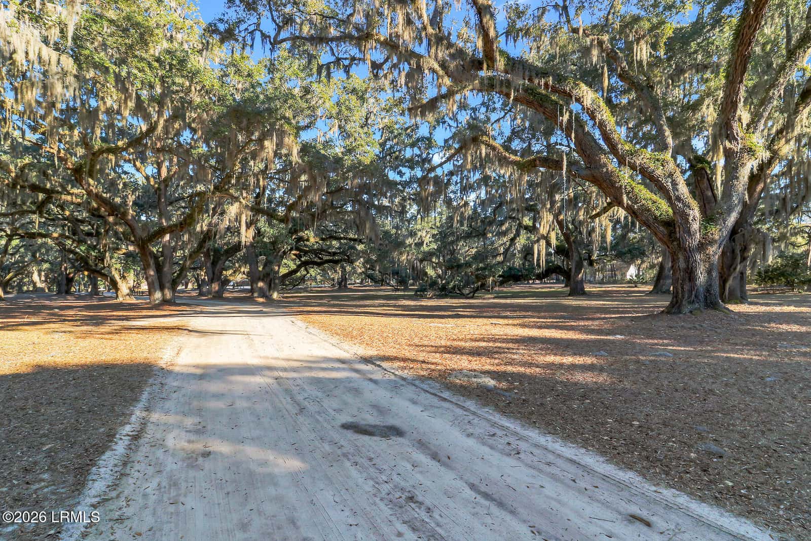 893 Grays Highway, Ridgeland, SC 29936 — photo 4 of 67