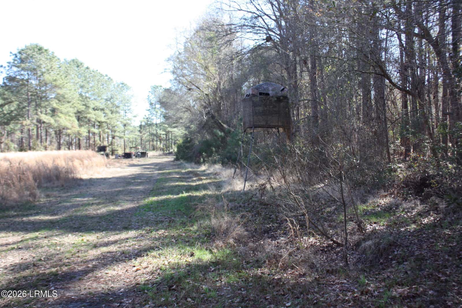 2650 Joe Miley Road, Brunson, SC 29911 — photo 4 of 13